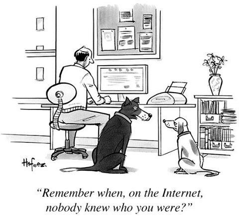 Image-1-Internet-Dog