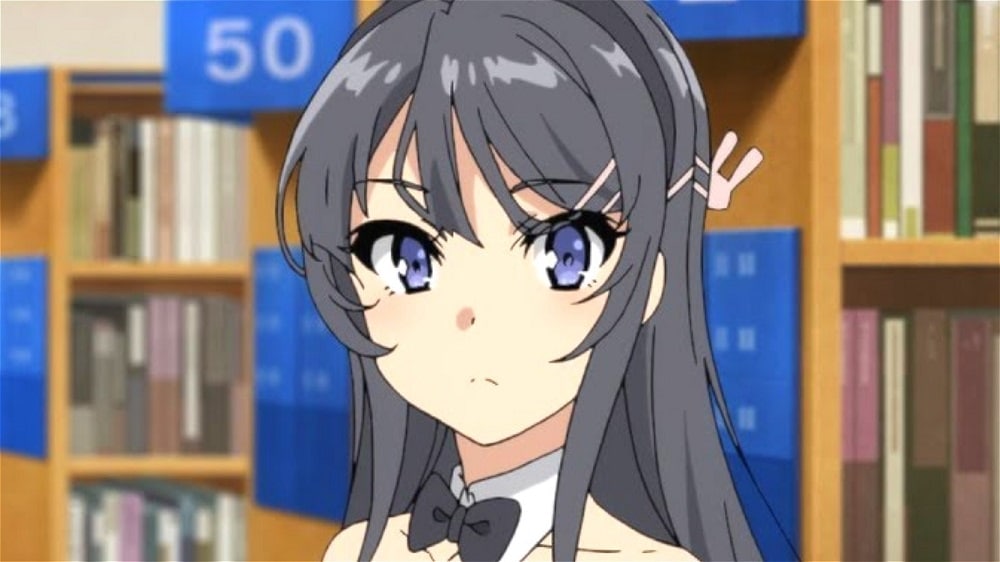 Rascal Does Not Dream of Bunny Girl Senpai