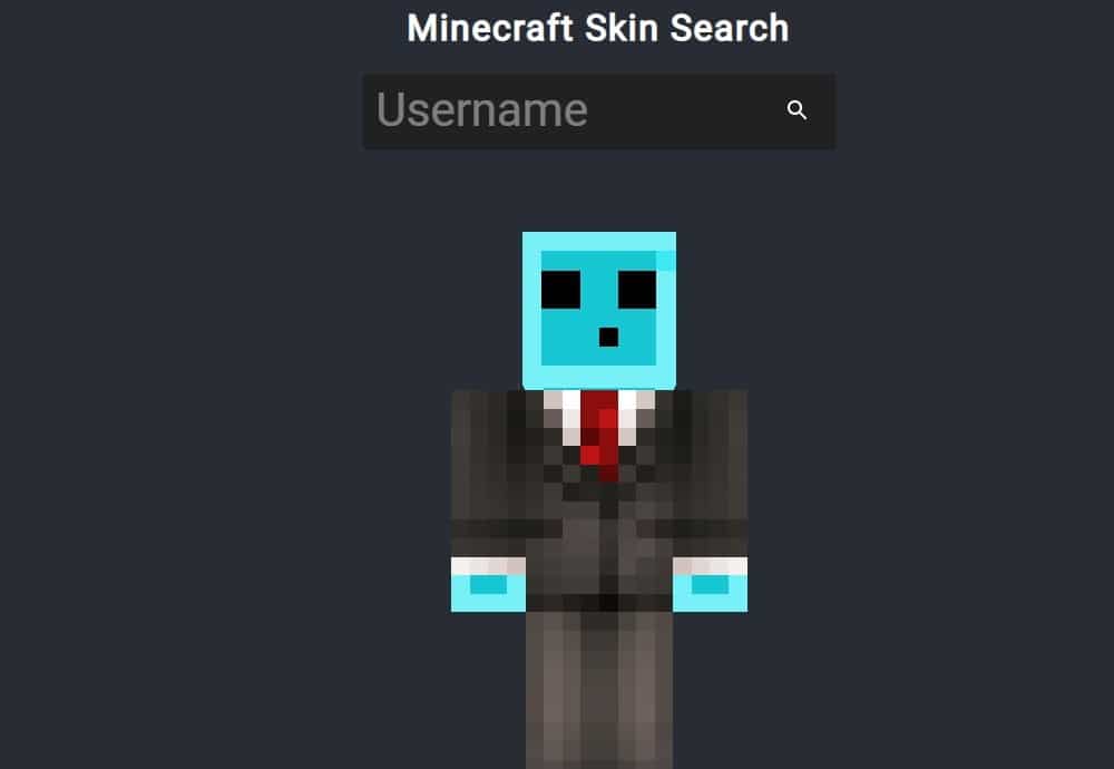 MC Skin Search overview