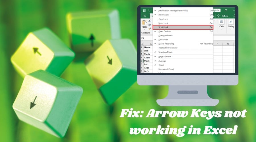 Arrow Keys not working in Excel