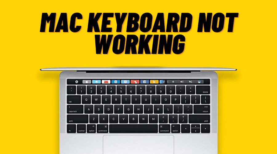 Mac Keyboard Not Working