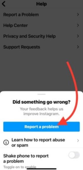 Notify Instagram Report a Problem
