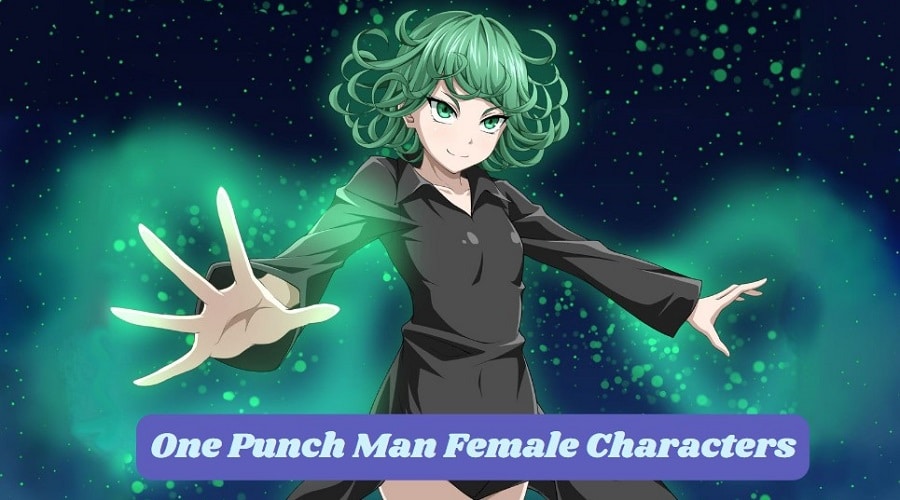 One Punch Man Female Characters