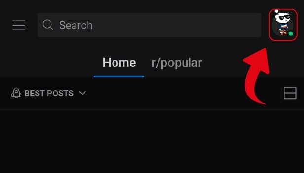 Reddit username option