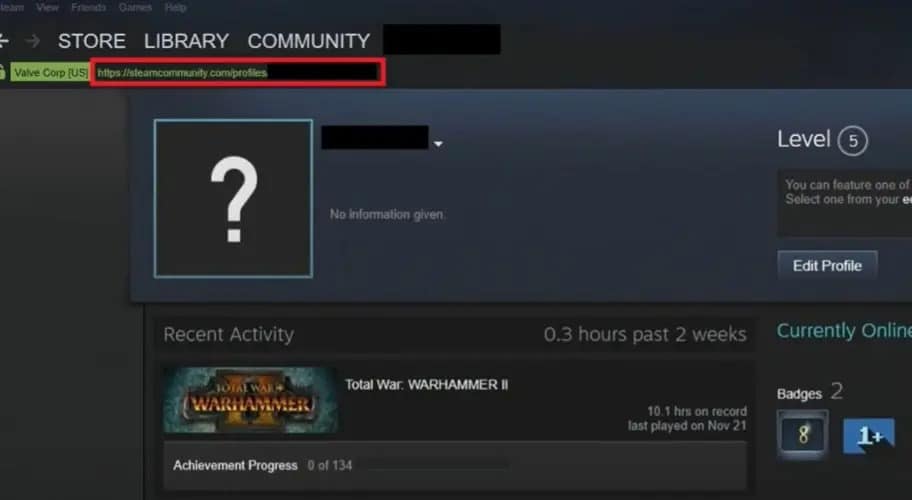 Steam-URL