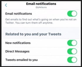 Twetter email notification