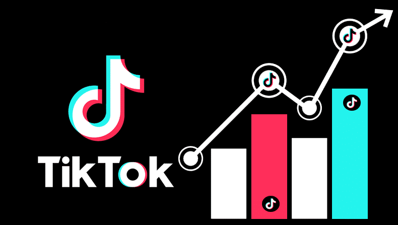 TikTok Followers Count