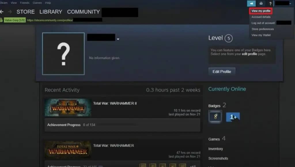 View-Profile-steam