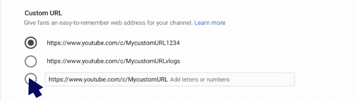 choose a custom URL