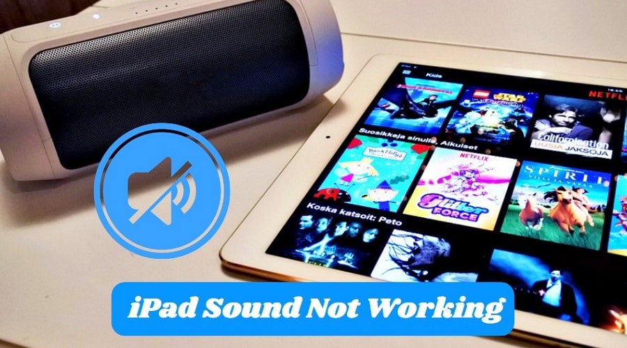 iPad Sound Not Working