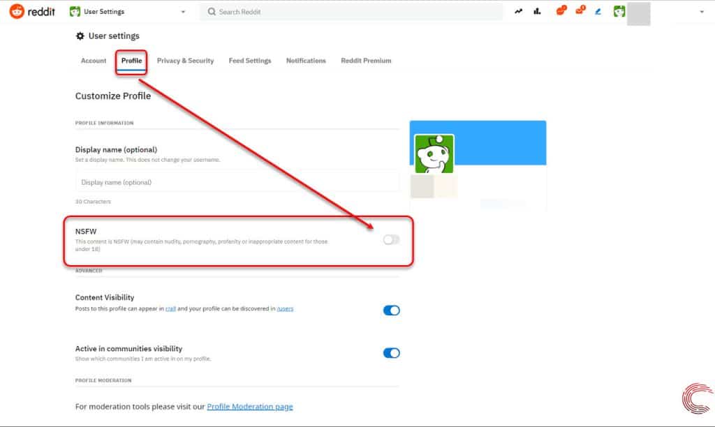 modify Reddit showing NSFW content