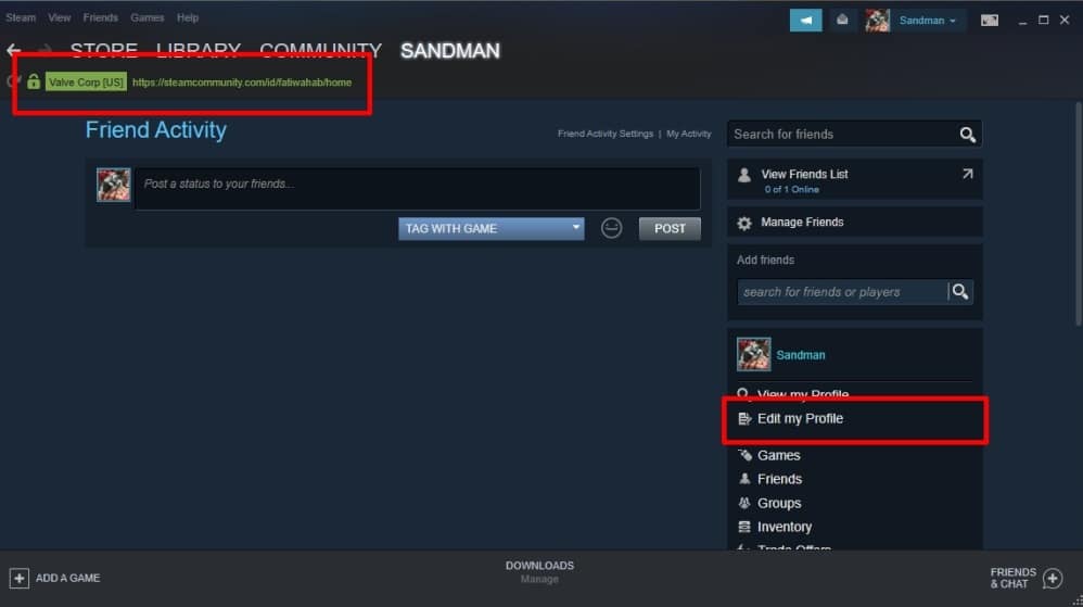 steam-edit profile
