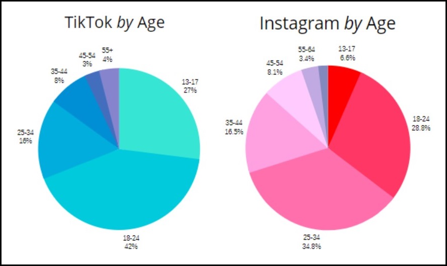 Tiktok Vs Instagram Main Differences Between Them Tiktok Vs Instagram Main Differences Between Them
